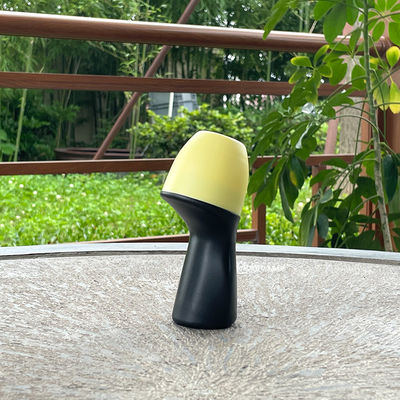 特殊形 再び詰められるロールオン香水ボトル アロマテラピー混合物用のプラスチックロールオンボトル